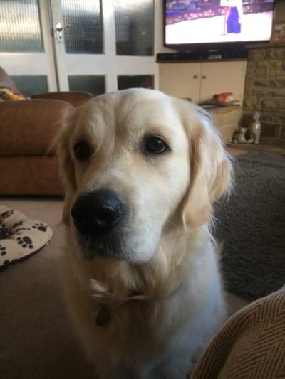 Our Vaccination  Beliefs image