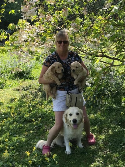 Previous litters image