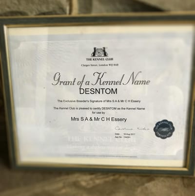 Our KC registration image