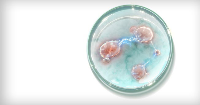 TEMA 9 : REPRODUCCIÓN CELULAR