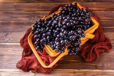 I'm a 'Grapy Girl' for a Day