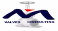 M Valves-Consulting FR