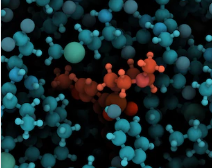 TEMA 5 - LAS PROTEÍNAS