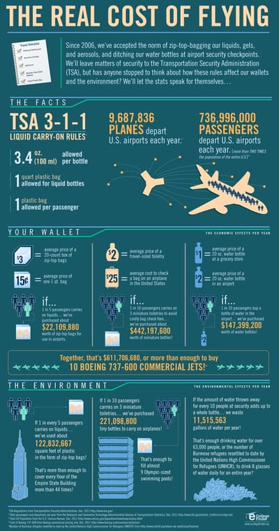 the-real-cost-of-flying. Scouted via Daily Infographic