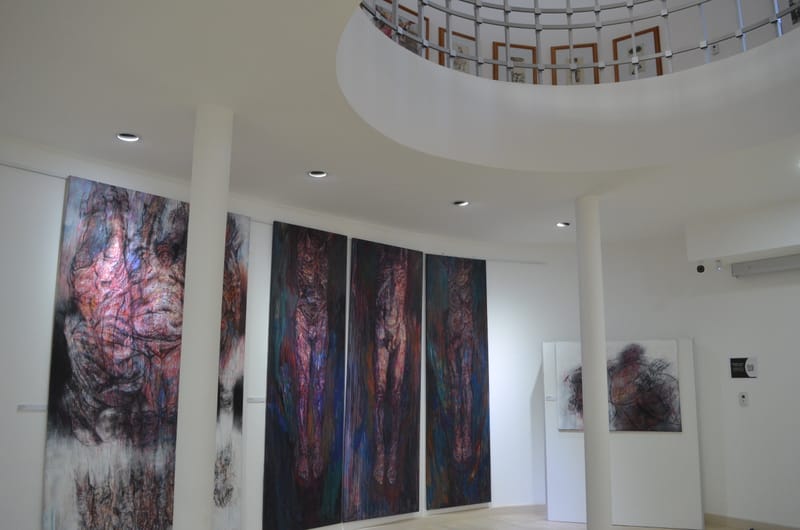 Exposición Museo carlos Alonso | General Villegas