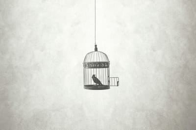 5 Tips for Re-entering the Workforce for Stay at Home Parents