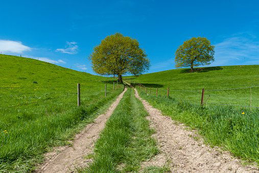 Le Chemin qui Marche