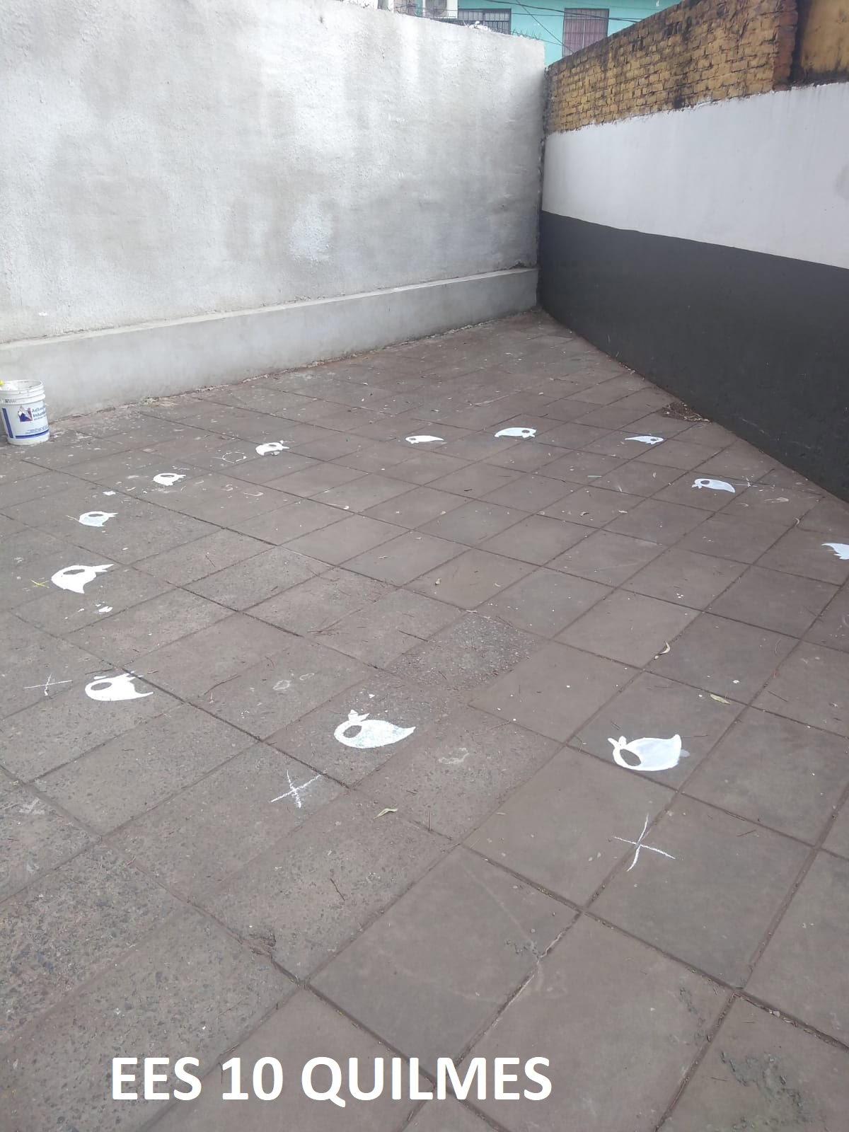 IMÁGENES DE PRODUCCIONES