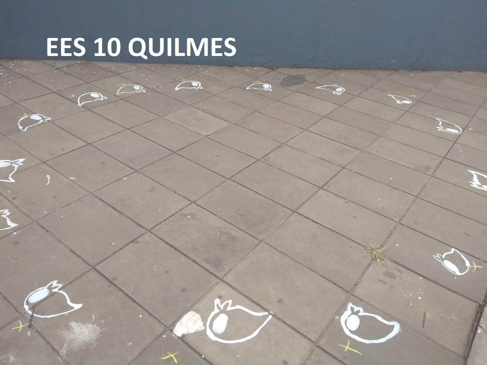 IMÁGENES DE PRODUCCIONES