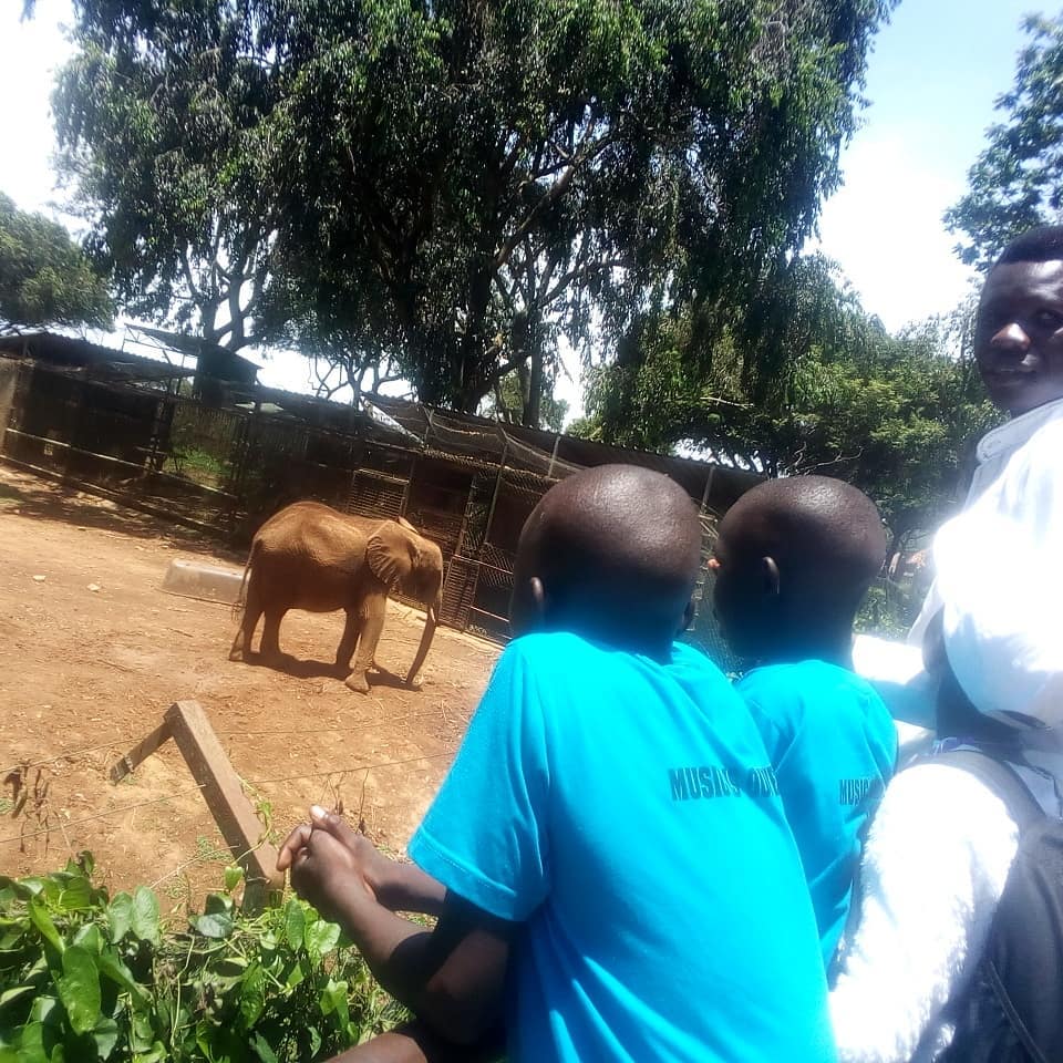 I CAN children watching the Elephant at zoo