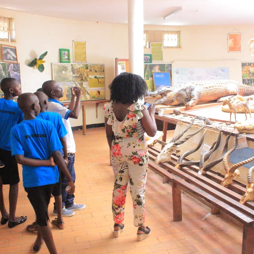 I CAN Children Watching the Bones of Animals at Zoo