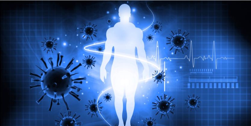 SECRETS OF THE IMMUNE SYSTEM