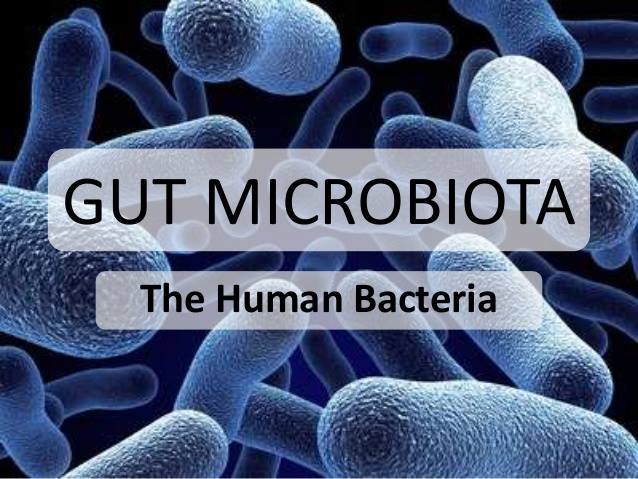 ABOUT THE 21 DAY MICROBIOME PURIFY SYSTEM