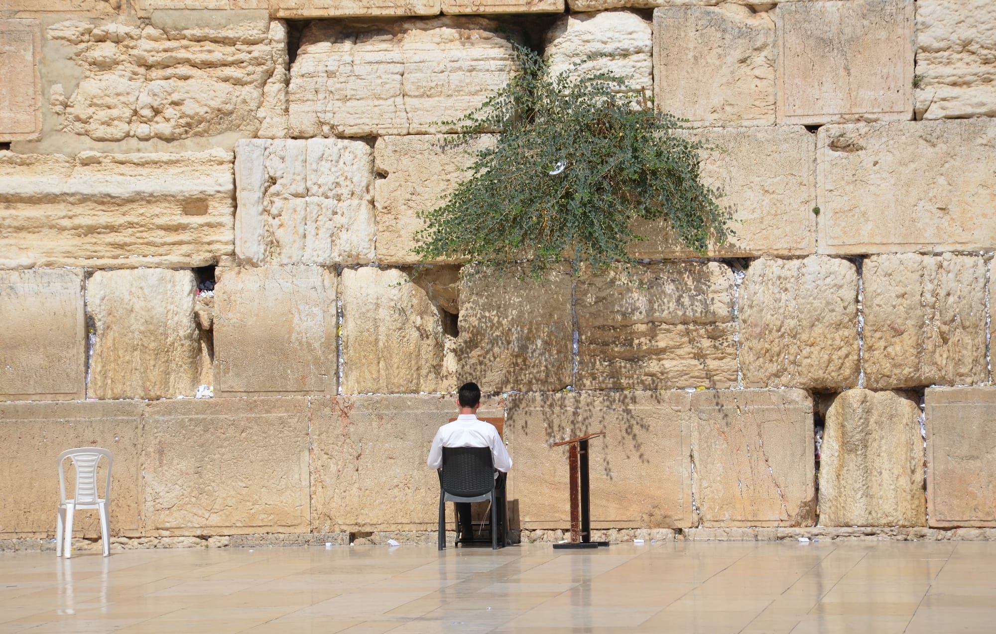 פורים וארץ ישראל מתוך מגילת אסתר