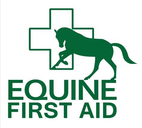 Equine First Aid Course