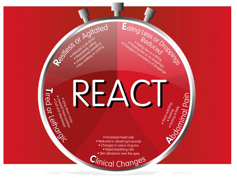 An Evening to Educate and Entertain