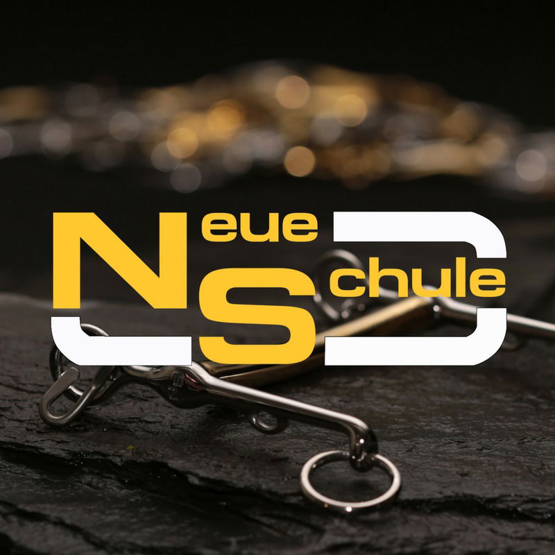 An Evening To Educate & Entertain with Neue Schule