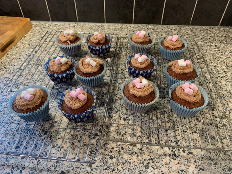 My Fifth Week In Lockdown - Coronavirus Crisis