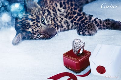 CARTIER MAS QUE UNA JOYA image