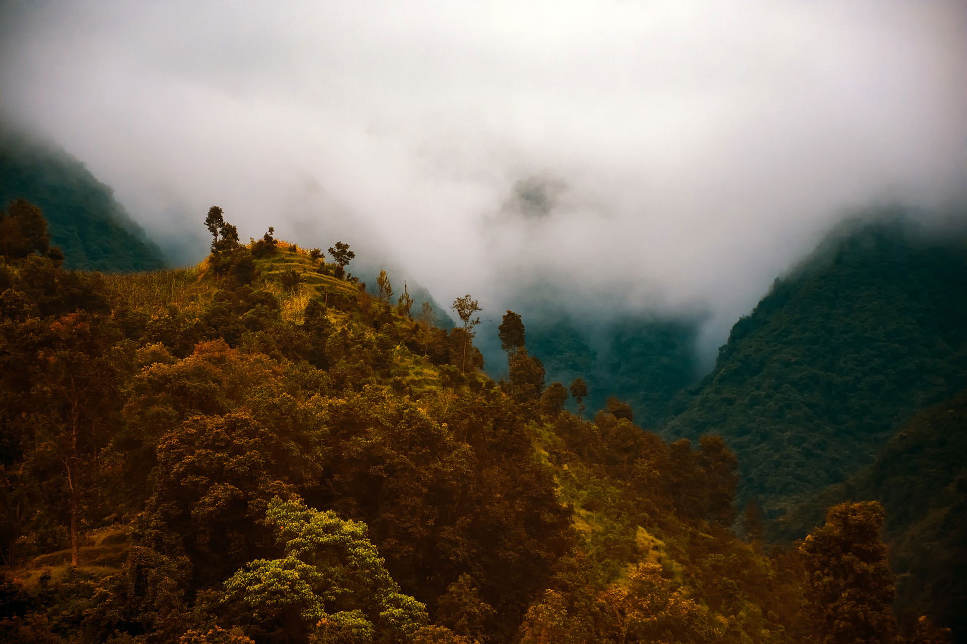 Kathmandu Bandipur Pokhara Chitwan Tour