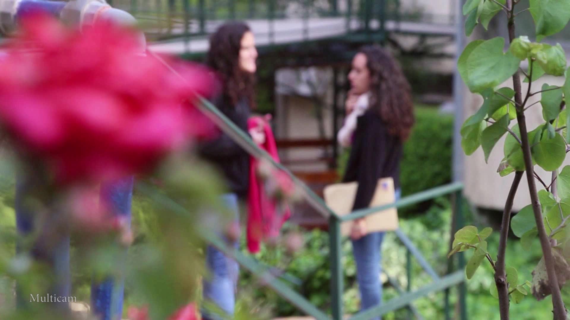 מקדמים את האקדמיה המכללה האקדמית תל חי