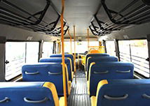 TRAVELLER 26 SCHOOL BUS image