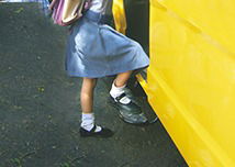 TRAVELLER 26 SCHOOL BUS image