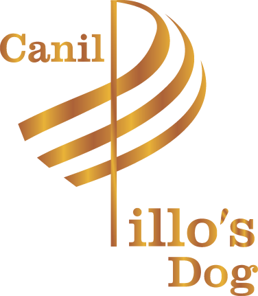 Canil Pillos Dog