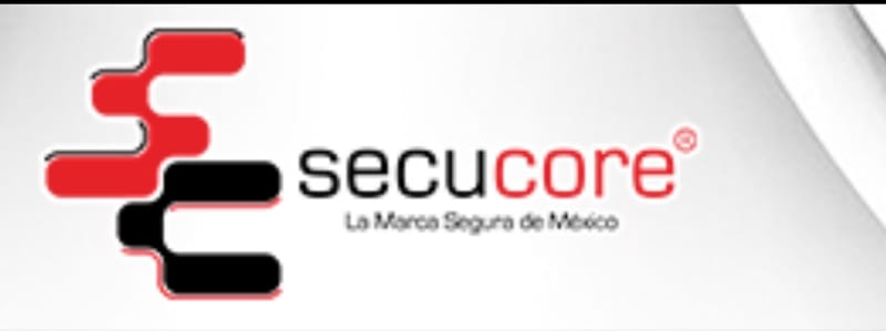 sistemas de seguridad y vigilancia