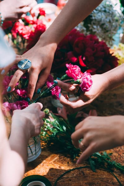 How to Get the Best Floral Collections for Your Occasions