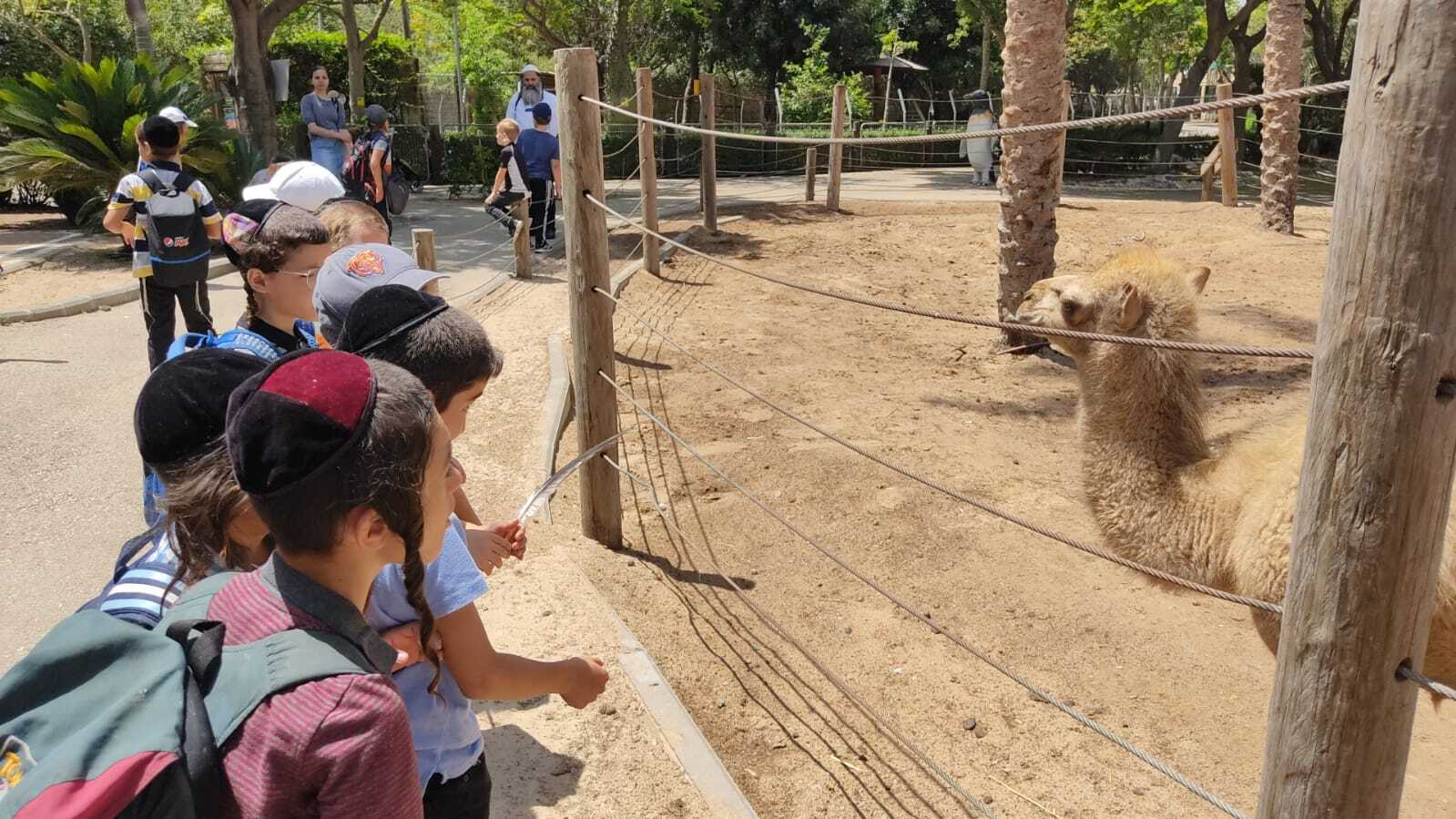 טיול לחי פארק