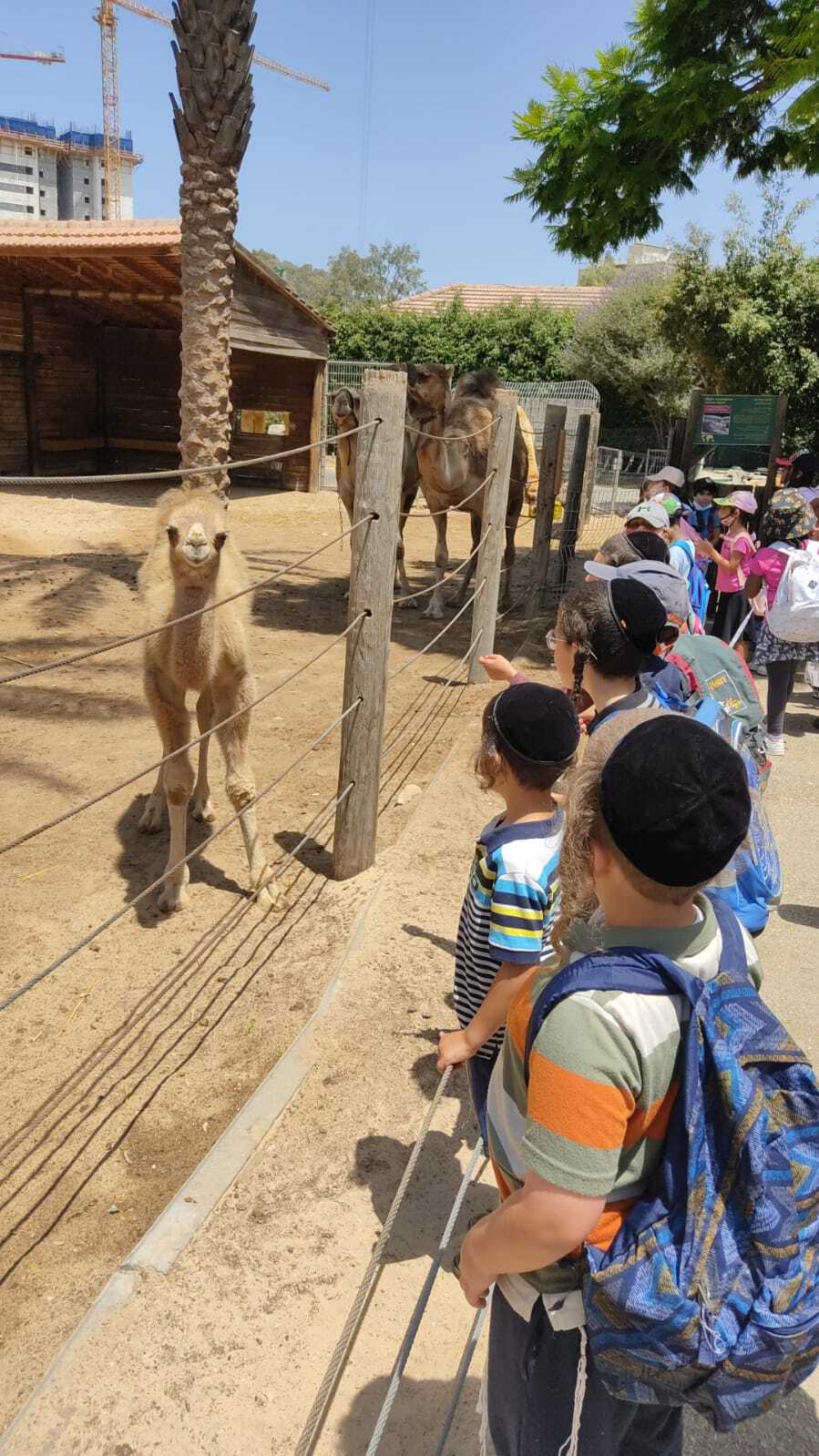טיול לחי פארק