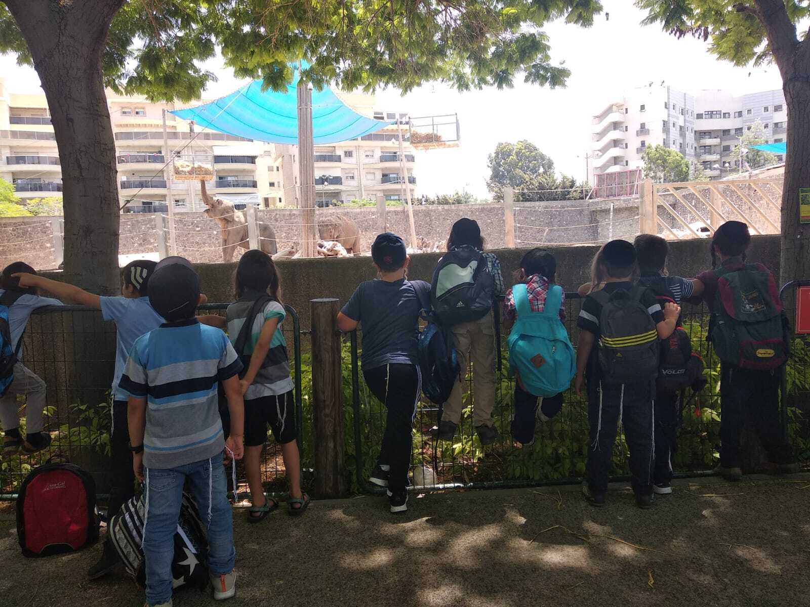 טיול לחי פארק