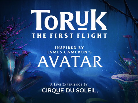 Cirque Du Soleil - Toruk