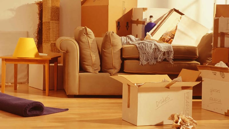 PACKING & MOVING