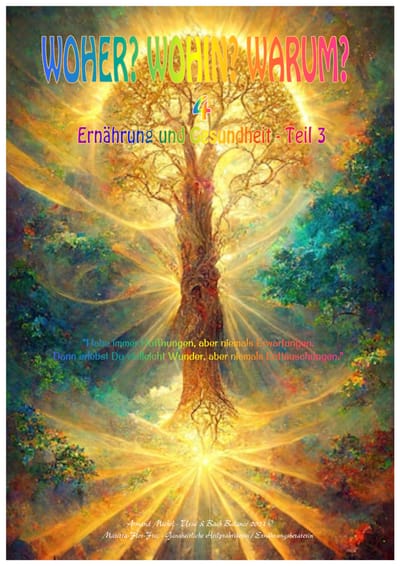 EIGENE BÜCHER ANGEBOTE - WOHER? WOHIN? WARUM? REIHE: BUCH 4 - Teil 3