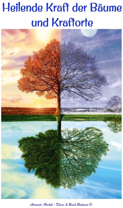 Heilende Kraft der Bäume
