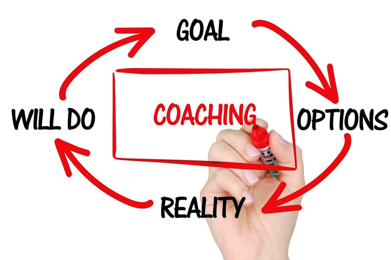 Coaching/mentoring/support for private individuals