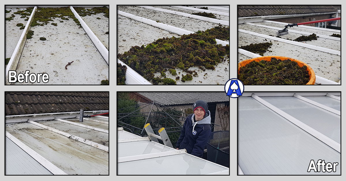 Big Conservatory Roof Clean