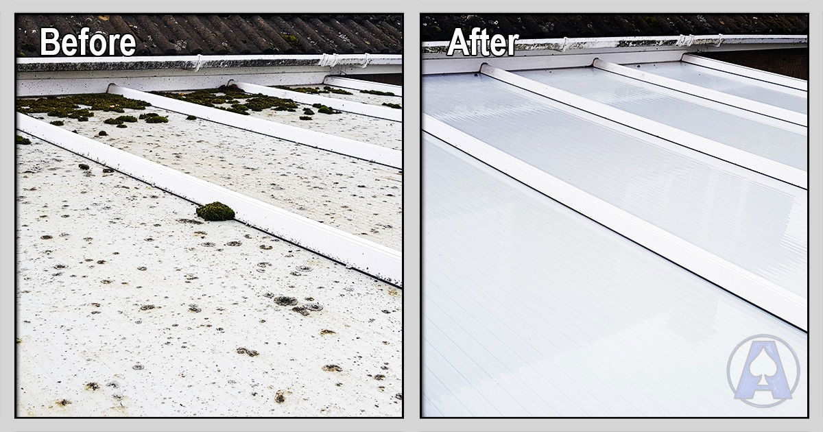 Conservatory Roof Clean