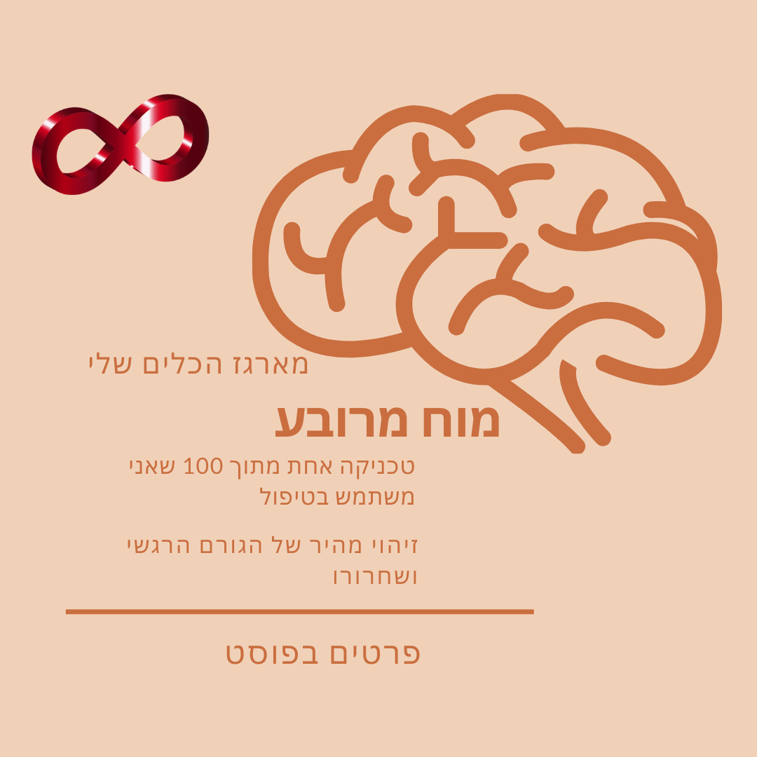 מוח מרובע