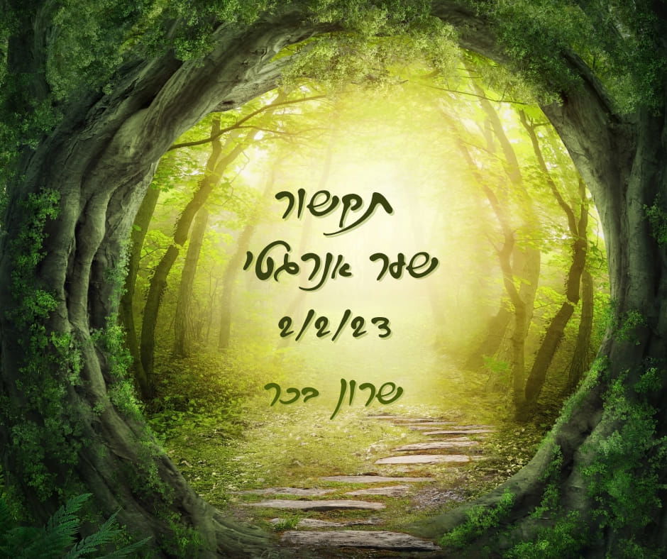 שער אנרגטי 2/2/23