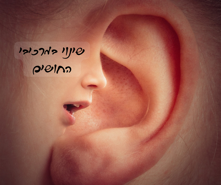 הביקורת - שינוי במרכיבי החושים