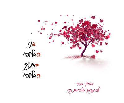 חיזוק משאבים