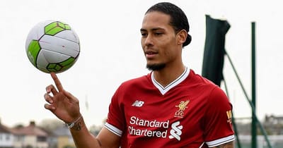 ฟาน ไดค์ แนะ หงส์