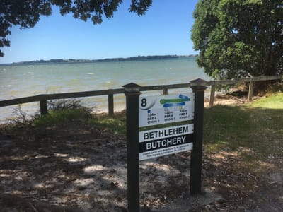 Visitors to Kereru Place