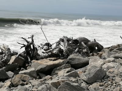 Jill's visit and trips out.