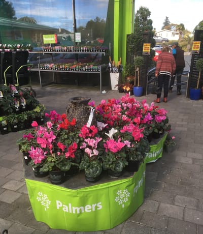 Blog 26 Winter in NZ