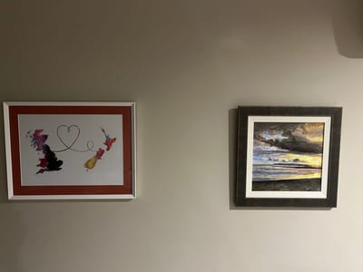 Post operative months in NZ