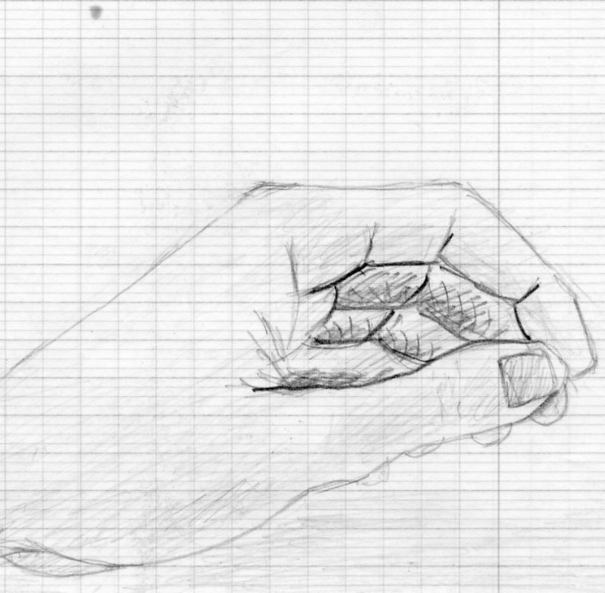 esquisse